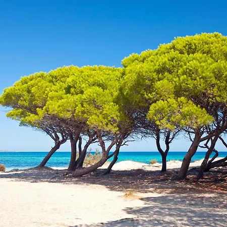 Club & Village Cala Fiorita Hotel 4*