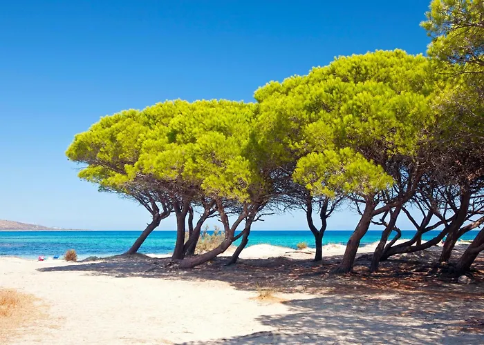 Club & Village Cala Fiorita 酒店 4*